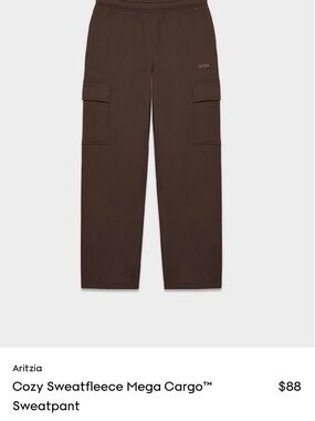 Aritzia Cargo Sweatpants & top set - Dark Brown